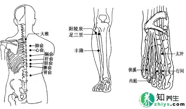 拔罐后背位置图解_图解大全 (3)刮拭顺序 先刮局部病变部位,再刮颈部大椎,然后刮背部肺俞至肾俞,刮下肢外侧阳陵泉,最后刮太冲。 (4)刮拭方法 泻法。在需刮痧部位涂抹适量刮痧油。先刮面部局部病变部位,因为面部出痧影响美观,因此手法要轻柔,以不出痧为度,且面部不需涂抹活血剂,通常用补法,忌用重力大面积刮拭,方向由内向外按肌肉走向刮拭,可每天1次。再刮颈后高骨大椎穴,用力要轻柔,不可用力过重,可用刮板棱角刮拭,以出痧为度。然后刮背部肺俞至肾俞穴,由上至下,一次到位,至皮肤发红、皮下紫色痧斑痧痕形成为止。最后重刮下肢外侧阳陵泉